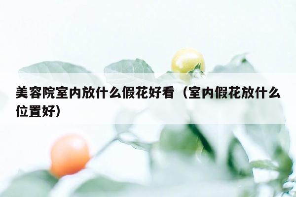 美容院室内放什么假花好看（室内假花放什么位置好）