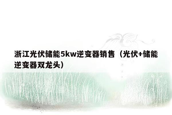 浙江光伏储能5kw逆变器销售（光伏+储能逆变器双龙头）