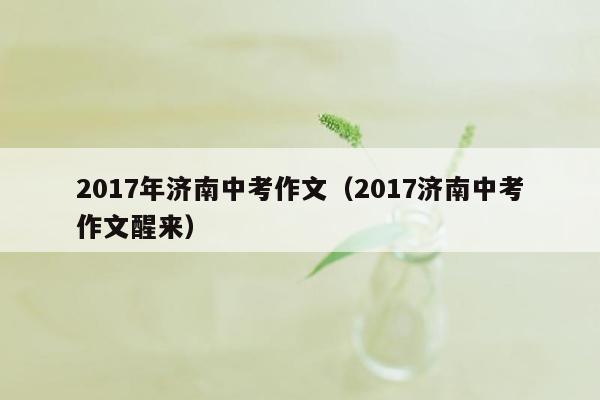 2017年济南中考作文（2017济南中考作文醒来）