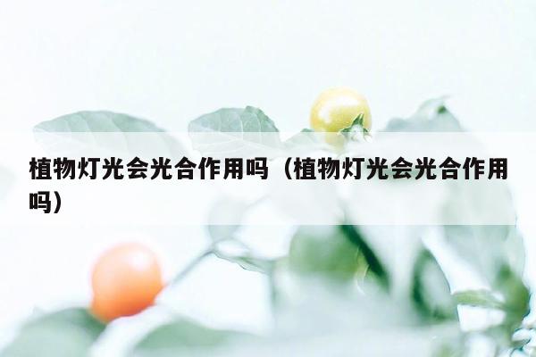 植物灯光会光合作用吗（植物灯光会光合作用吗）