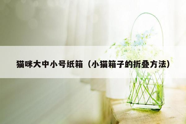 猫咪大中小号纸箱（小猫箱子的折叠方法）