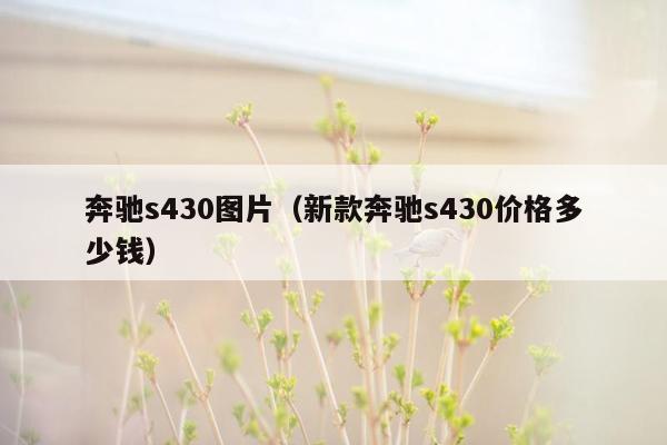 奔驰s430图片（新款奔驰s430价格多少钱）