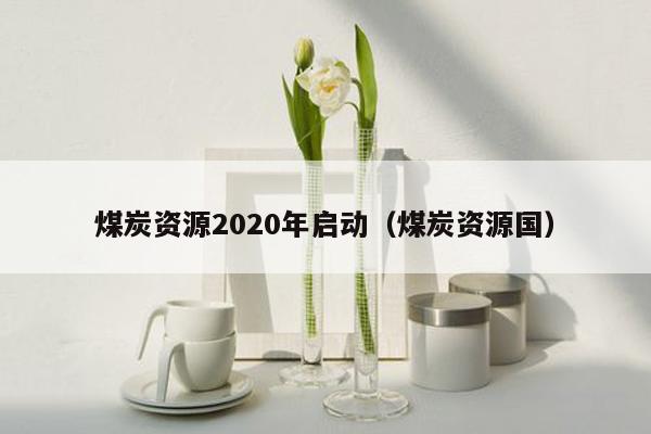 煤炭资源2020年启动（煤炭资源国）