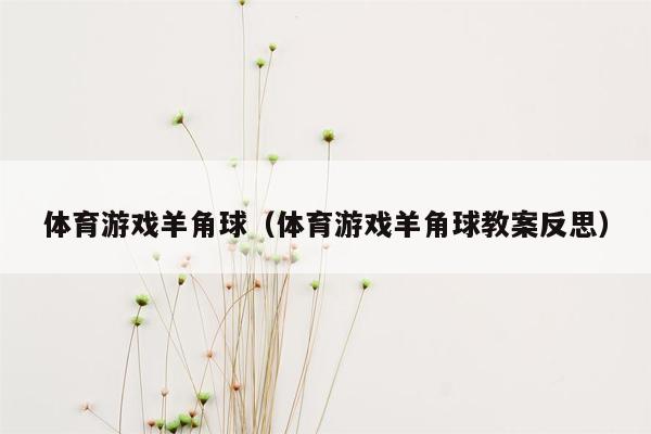 体育游戏羊角球（体育游戏羊角球教案反思）