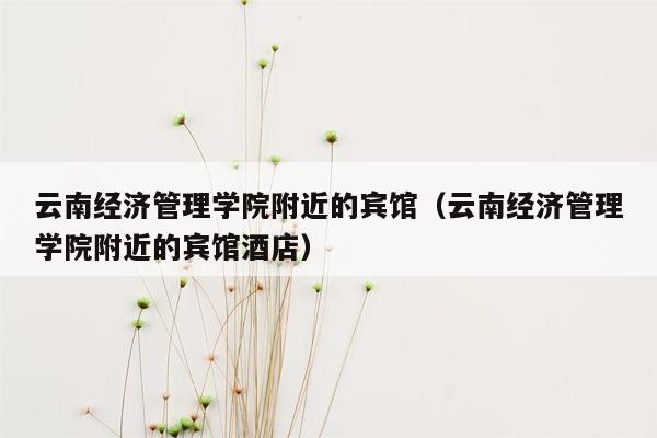 云南经济管理学院附近的宾馆（云南经济管理学院附近的宾馆酒店）