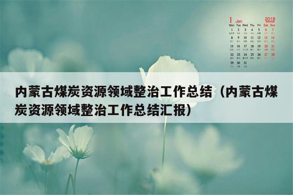 内蒙古煤炭资源领域整治工作总结（内蒙古煤炭资源领域整治工作总结汇报）