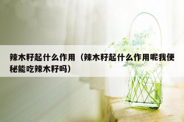 辣木籽起什么作用（辣木籽起什么作用呢我便秘能吃辣木籽吗）