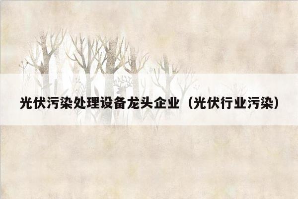 光伏污染处理设备龙头企业（光伏行业污染）