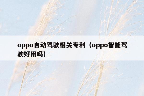 oppo自动驾驶相关专利（oppo智能驾驶好用吗）