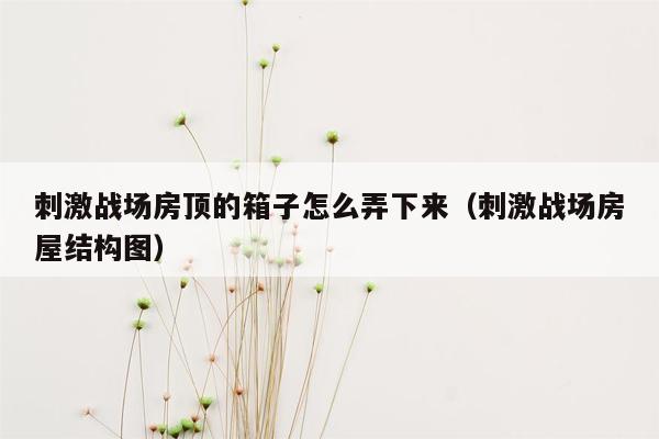 刺激战场房顶的箱子怎么弄下来（刺激战场房屋结构图）