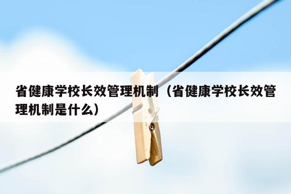 省健康学校长效管理机制（省健康学校长效管理机制是什么）