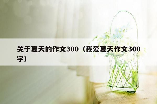 关于夏天的作文300（我爱夏天作文300字）