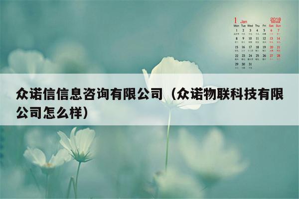 众诺信信息咨询有限公司（众诺物联科技有限公司怎么样）