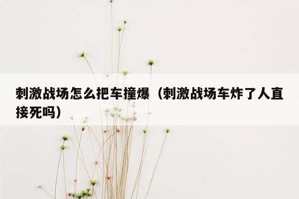 刺激战场怎么把车撞爆（刺激战场车炸了人直接死吗）