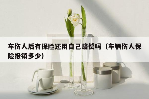 车伤人后有保险还用自己赔偿吗（车辆伤人保险报销多少）