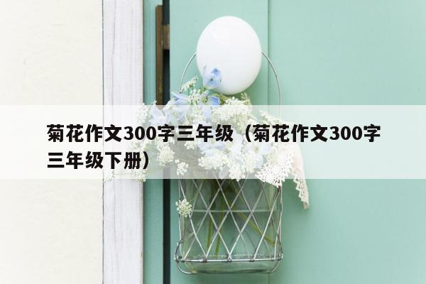 菊花作文300字三年级（菊花作文300字三年级下册）