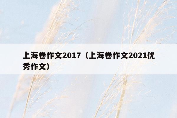 上海卷作文2017（上海卷作文2021优秀作文）