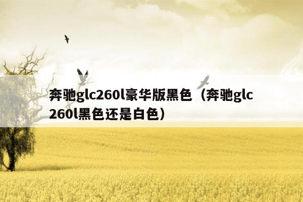 奔驰glc260l豪华版黑色（奔驰glc260l黑色还是白色）