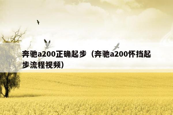 奔驰a200正确起步（奔驰a200怀挡起步流程视频）