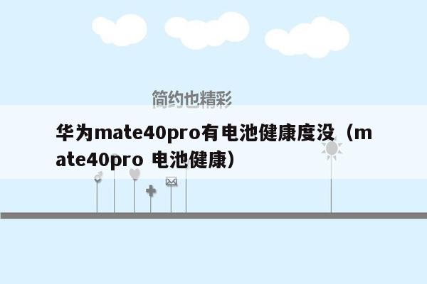 华为mate40pro有电池健康度没（mate40pro 电池健康）