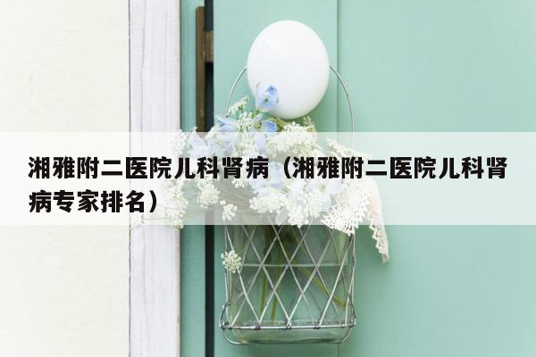 湘雅附二医院儿科肾病（湘雅附二医院儿科肾病专家排名）