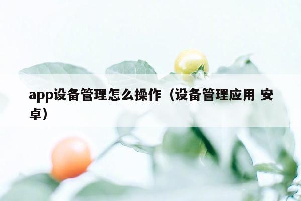 app设备管理怎么操作（设备管理应用 安卓）