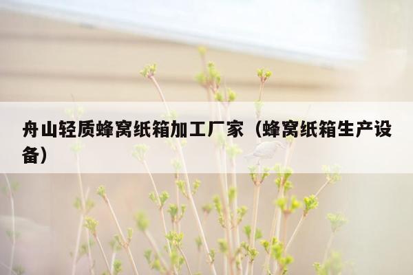 舟山轻质蜂窝纸箱加工厂家（蜂窝纸箱生产设备）