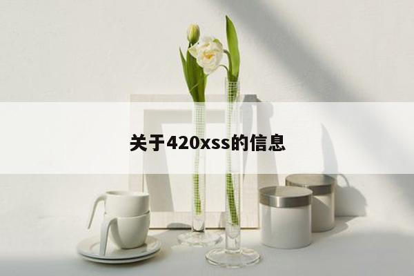 关于420xss的信息