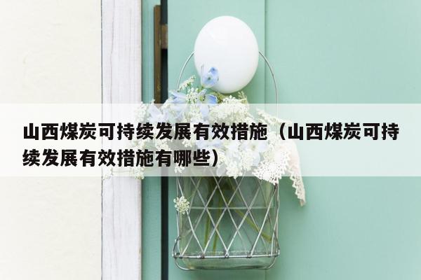 山西煤炭可持续发展有效措施（山西煤炭可持续发展有效措施有哪些）