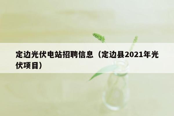 定边光伏电站招聘信息（定边县2021年光伏项目）