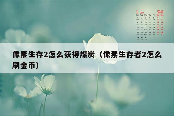 像素生存2怎么获得煤炭（像素生存者2怎么刷金币）